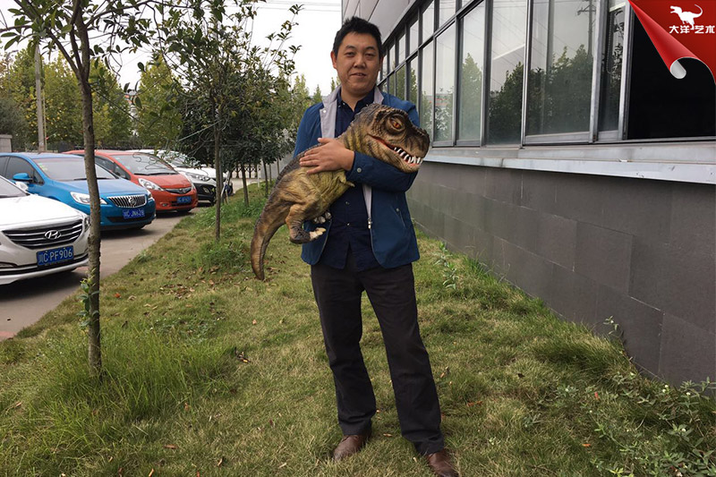 恐龍手偶，抱在手里的恐龍