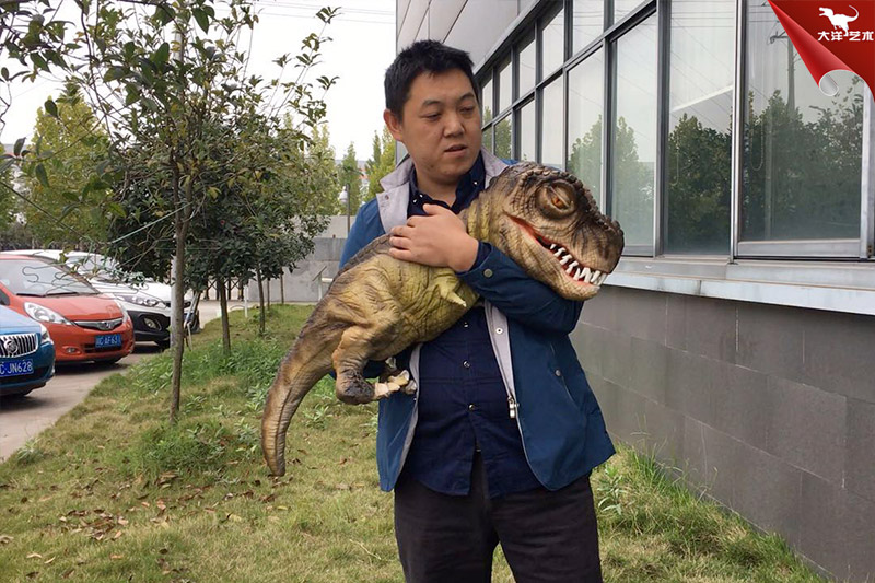 恐龍手偶，抱在手里的恐龍